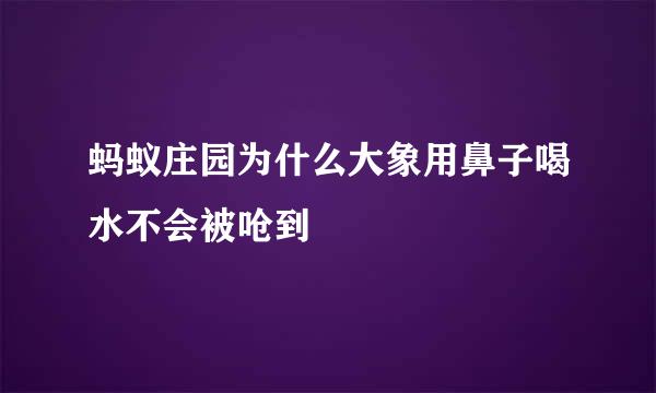 蚂蚁庄园为什么大象用鼻子喝水不会被呛到