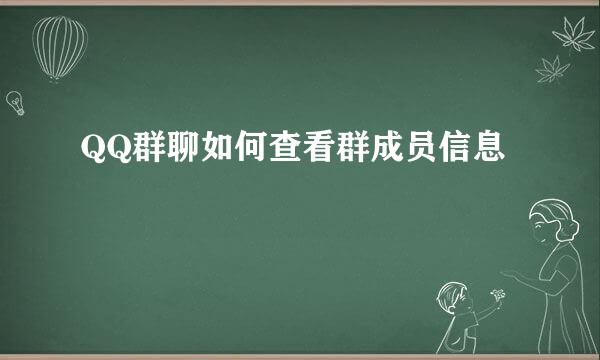 QQ群聊如何查看群成员信息