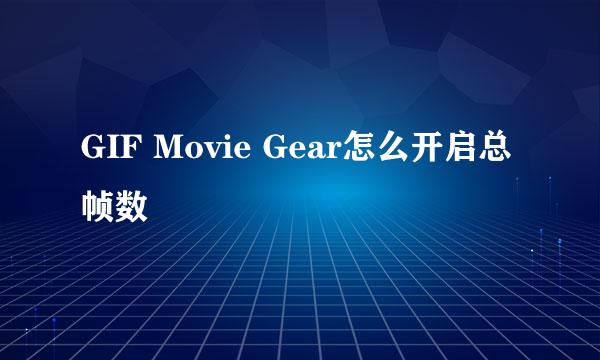 GIF Movie Gear怎么开启总帧数