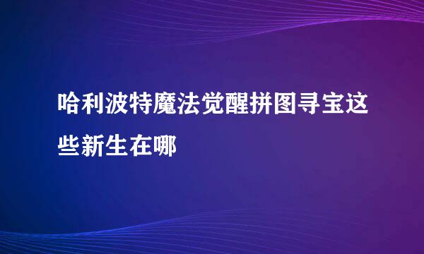 哈利波特魔法觉醒拼图寻宝这些新生在哪