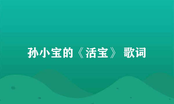 孙小宝的《活宝》 歌词