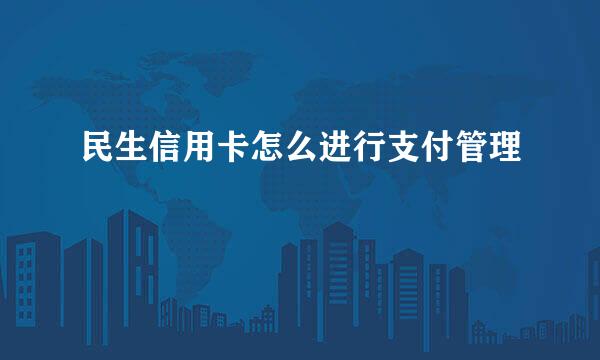 民生信用卡怎么进行支付管理