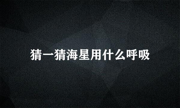 猜一猜海星用什么呼吸