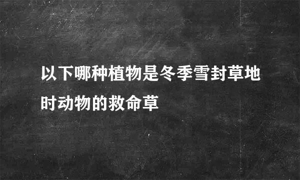 以下哪种植物是冬季雪封草地时动物的救命草