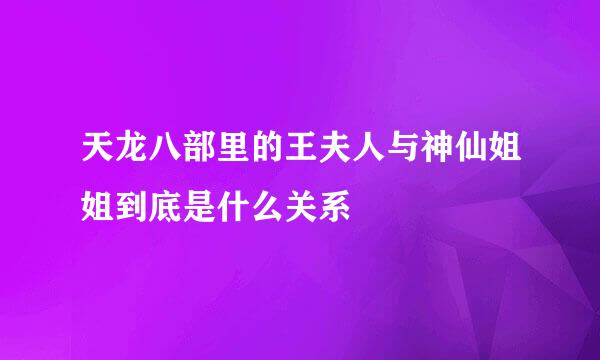 天龙八部里的王夫人与神仙姐姐到底是什么关系