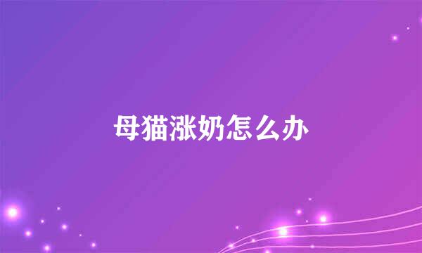母猫涨奶怎么办