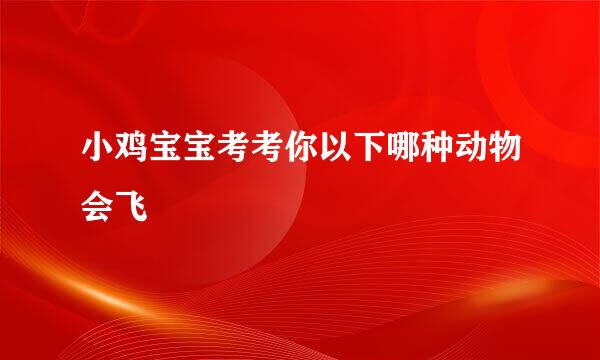 小鸡宝宝考考你以下哪种动物会飞