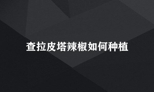 查拉皮塔辣椒如何种植