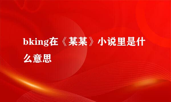 bking在《某某》小说里是什么意思