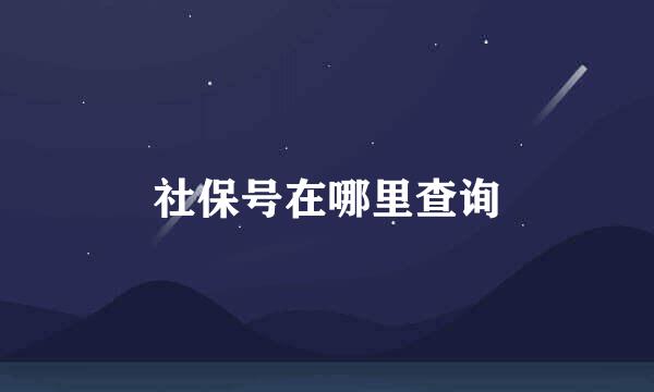 社保号在哪里查询