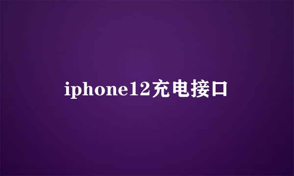 iphone12充电接口