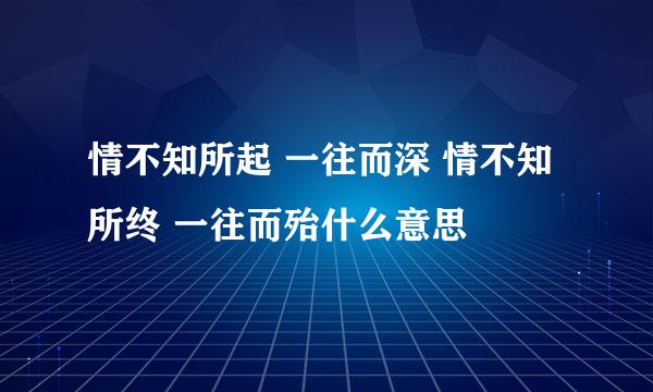 情不知所起 一往而深 情不知所终 一往而殆什么意思