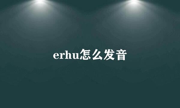 erhu怎么发音