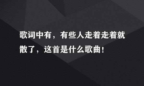 歌词中有，有些人走着走着就散了，这首是什么歌曲！