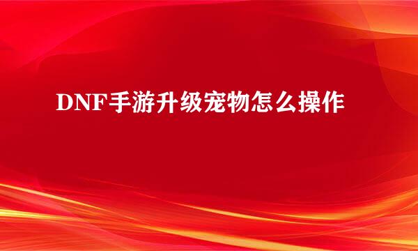 DNF手游升级宠物怎么操作