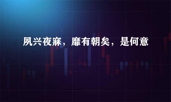 夙兴夜寐，靡有朝矣，是何意