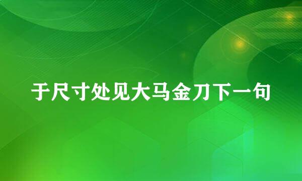 于尺寸处见大马金刀下一句