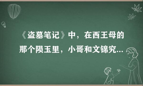 《盗墓笔记》中，在西王母的那个陨玉里，小哥和文锦究竟看到了什么
