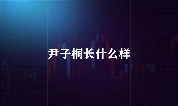 尹子桐长什么样