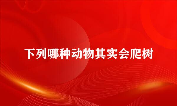 下列哪种动物其实会爬树