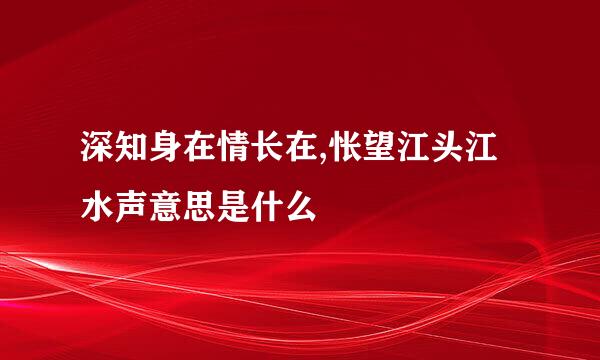 深知身在情长在,怅望江头江水声意思是什么