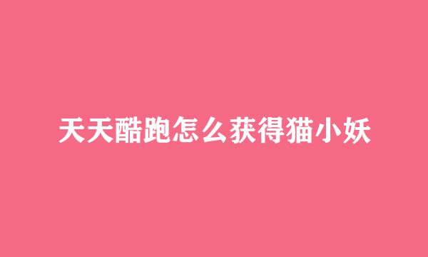 天天酷跑怎么获得猫小妖