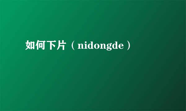 如何下片（nidongde）