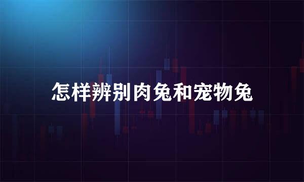 怎样辨别肉兔和宠物兔