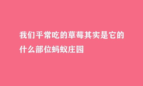 我们平常吃的草莓其实是它的什么部位蚂蚁庄园