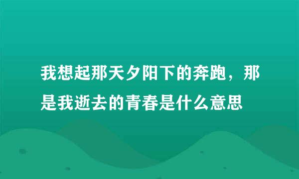 我想起那天夕阳下的奔跑，那是我逝去的青春是什么意思