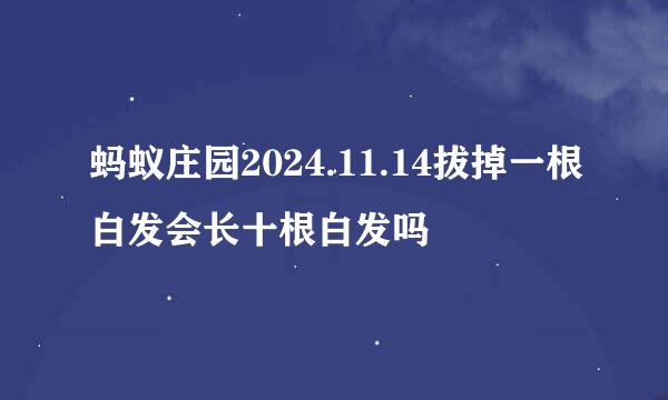 蚂蚁庄园2024.11.14拔掉一根白发会长十根白发吗