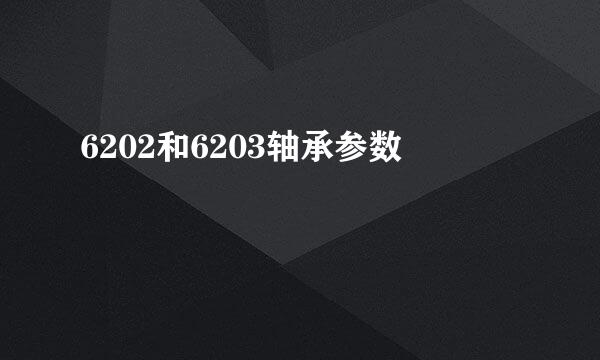 6202和6203轴承参数