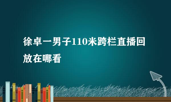 徐卓一男子110米跨栏直播回放在哪看