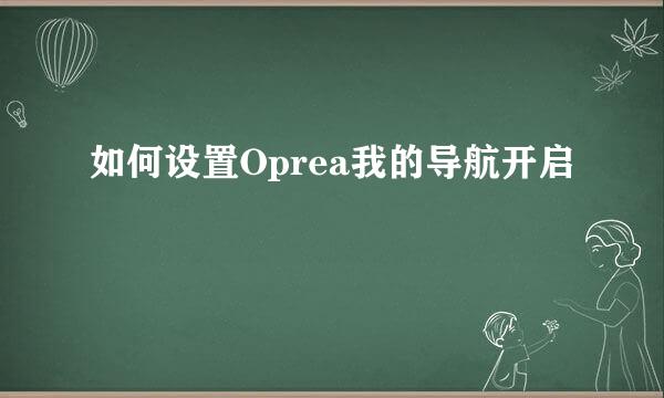 如何设置Oprea我的导航开启