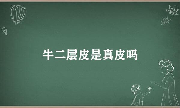 牛二层皮是真皮吗