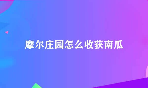 摩尔庄园怎么收获南瓜