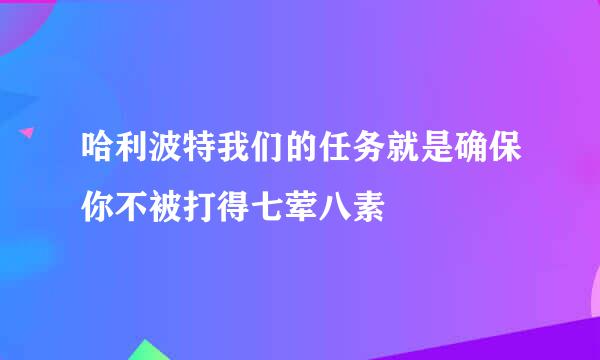 哈利波特我们的任务就是确保你不被打得七荤八素