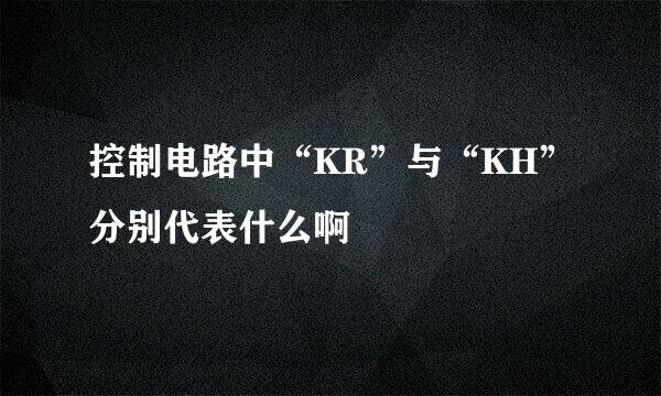 控制电路中“KR”与“KH”分别代表什么啊