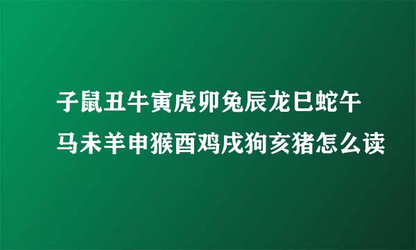 子鼠丑牛寅虎卯兔辰龙巳蛇午马未羊申猴酉鸡戌狗亥猪怎么读