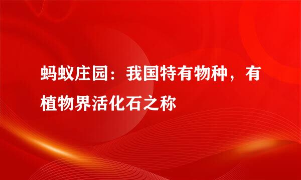 蚂蚁庄园：我国特有物种，有植物界活化石之称