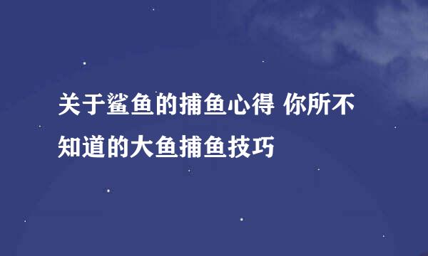关于鲨鱼的捕鱼心得 你所不知道的大鱼捕鱼技巧