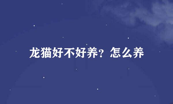 龙猫好不好养？怎么养