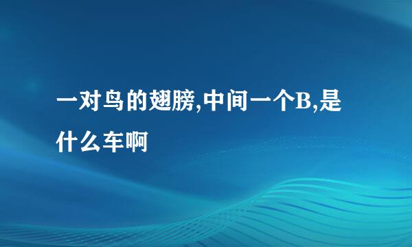 一对鸟的翅膀,中间一个B,是什么车啊