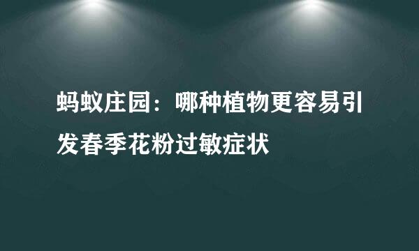 蚂蚁庄园：哪种植物更容易引发春季花粉过敏症状