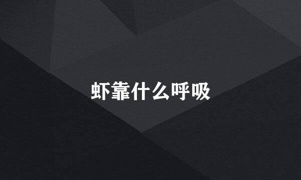 虾靠什么呼吸
