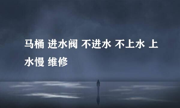 马桶 进水阀 不进水 不上水 上水慢 维修