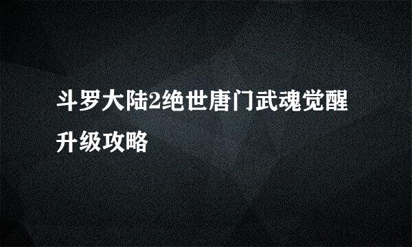 斗罗大陆2绝世唐门武魂觉醒升级攻略