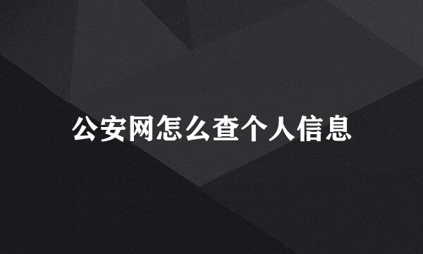 公安网怎么查个人信息
