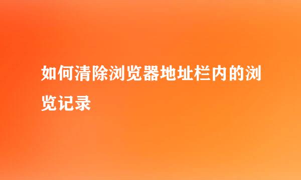 如何清除浏览器地址栏内的浏览记录