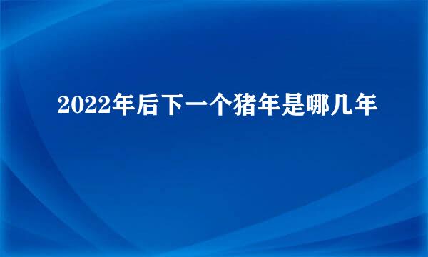 2022年后下一个猪年是哪几年